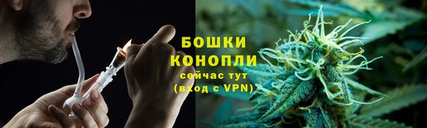 тгк Семилуки