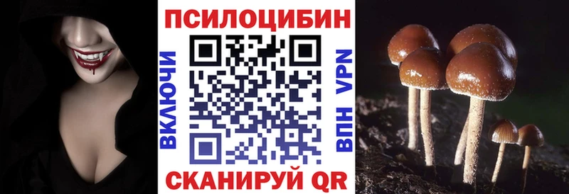 Псилоцибиновые грибы GOLDEN TEACHER  кракен зеркало  Ноябрьск 