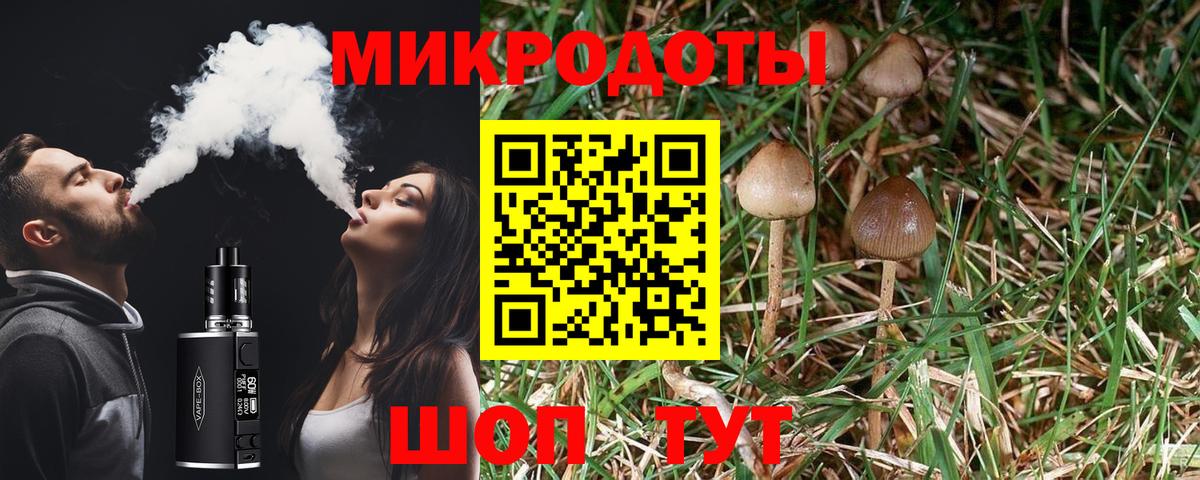 Ноябрьск  Галлюциногенные грибы GOLDEN TEACHER  Вход с VPN 