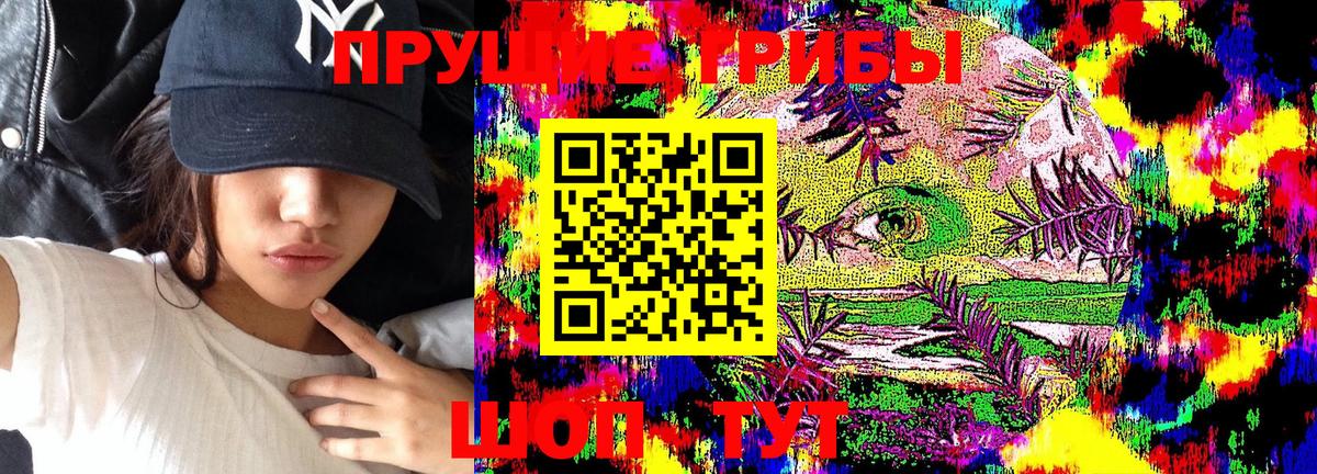 Галлюциногенные грибы Psilocybine cubensis Ноябрьск